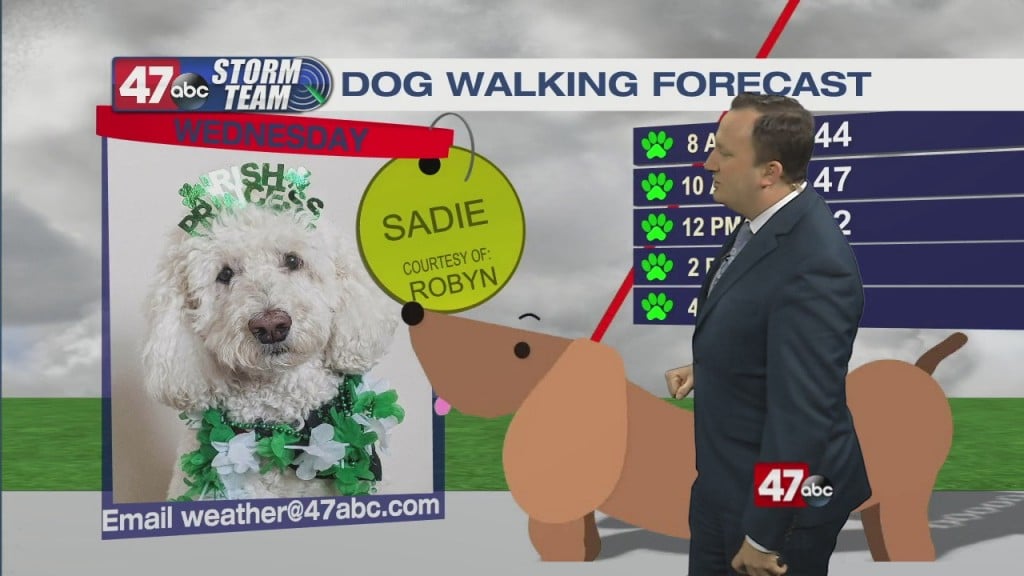 Evening Forecast Video 03.16.21