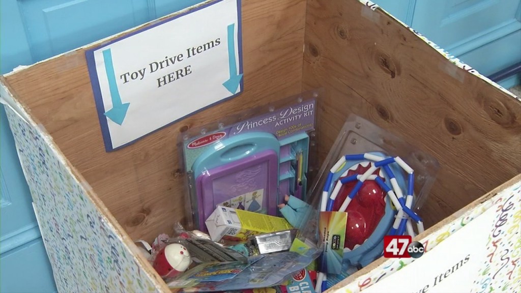 Teen Launches Toy Drive