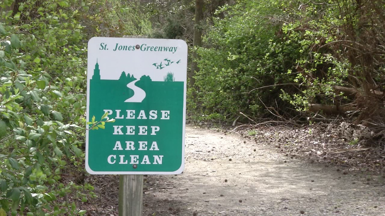 Making Delaware "cleaner, environmentally friendly, and a great place to be" - Vimarsana News