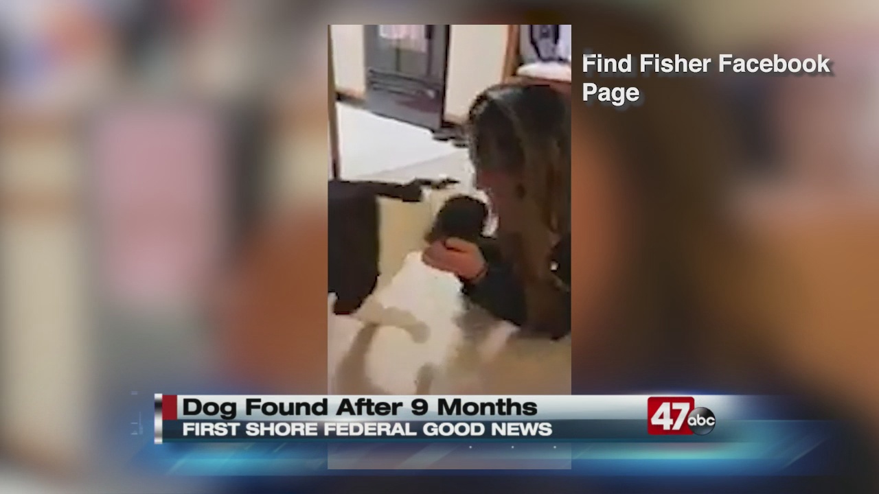 Missing dog reunited with family after 9 months - 47abc