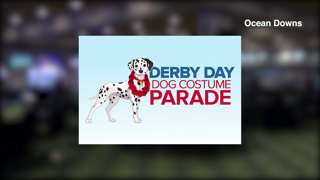 Ocean Downs hosting first ever Dog Derby - Vimarsana News
