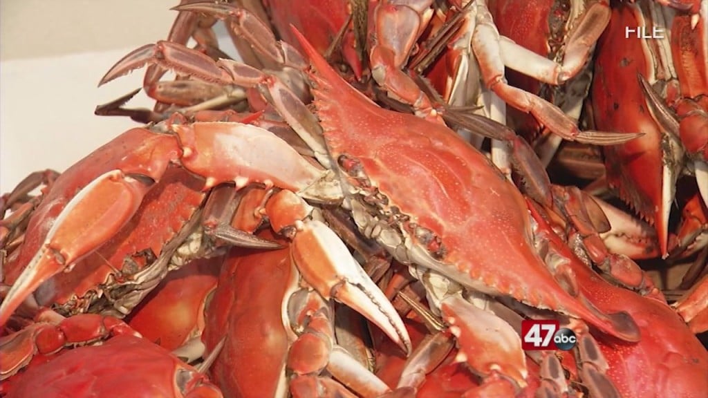 2021 Crab Shortage Concerns