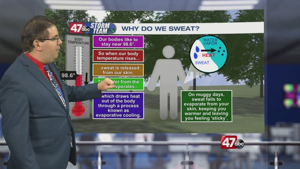 Weather Tidbits: Sweat