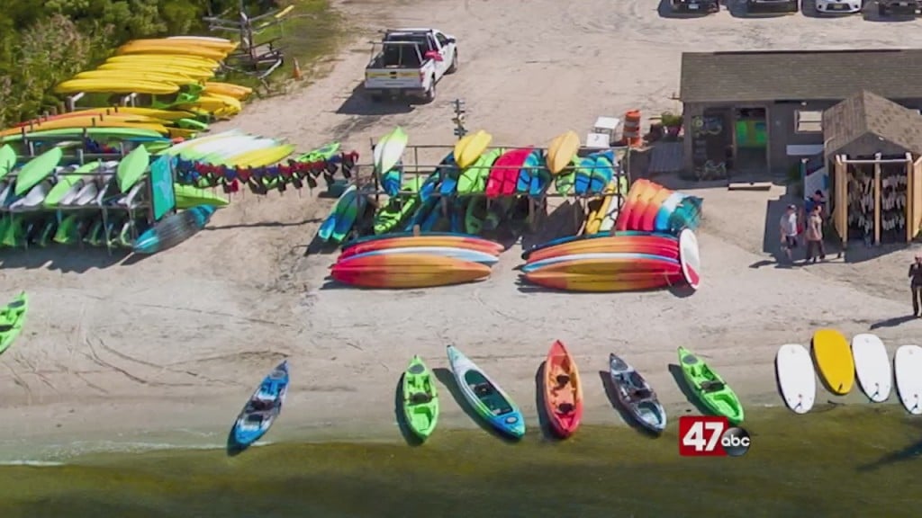 Live Green: Coastal Kayak