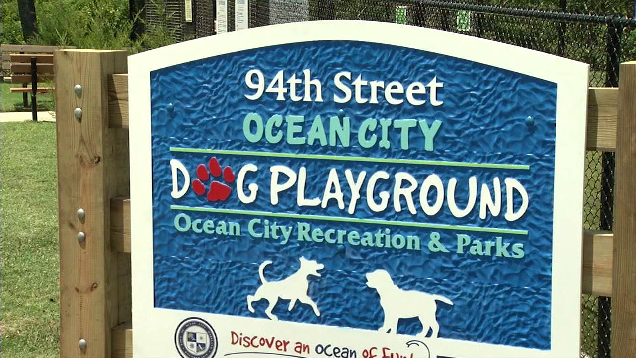 OC dog playground gets makeover, aims to be more user-friendly - Vimarsana News
