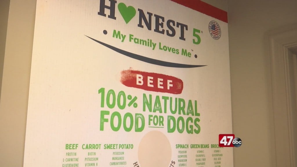 Treating Dogs With New Food