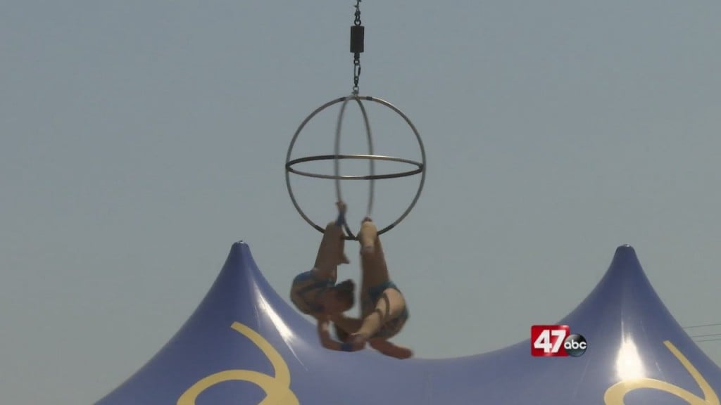 Circus Hollywood