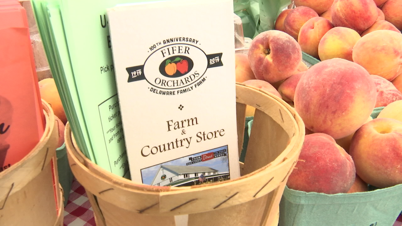 Peach festival returns with a bright and 'peachy' outlook on the future