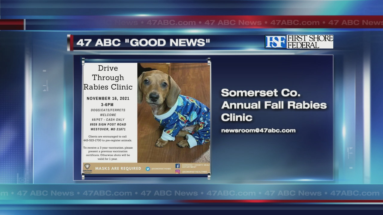 Somerset Co. Health Department announces Fall Rabies clinic 47abc