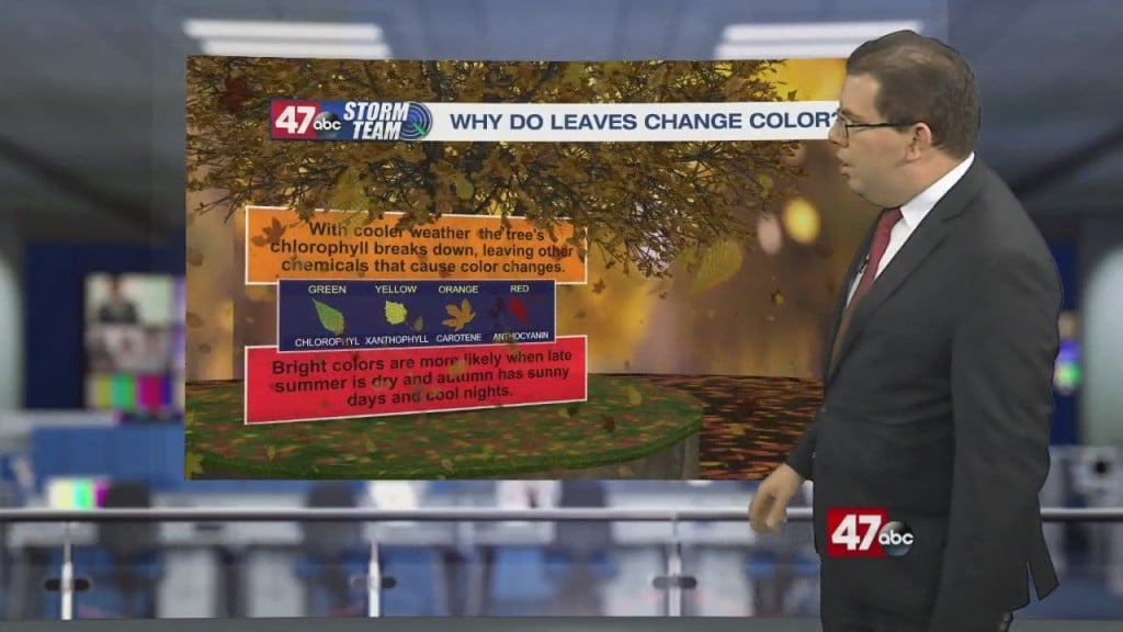 Weather Tidbits: Leaves Change Colors