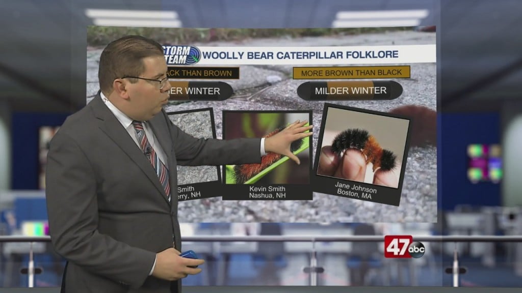 Weather Tidbits: Woolly Bear Caterpillar Folklore
