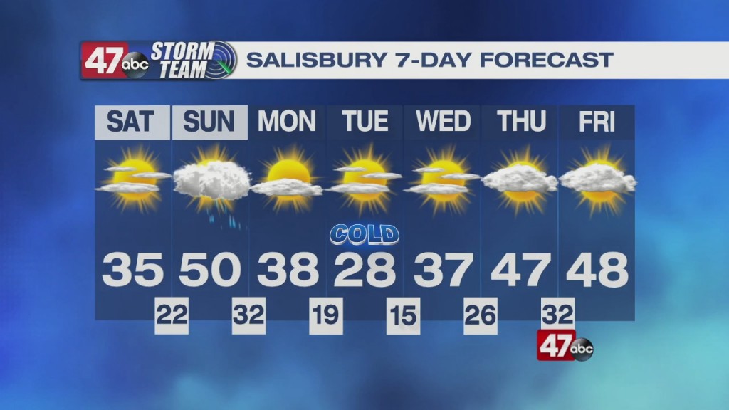 Evening Forecast Video