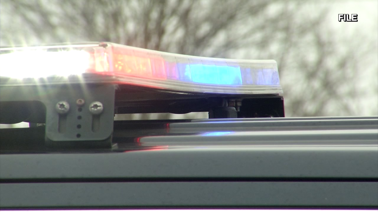 Two children killed in Seaford crash identified by Delaware State