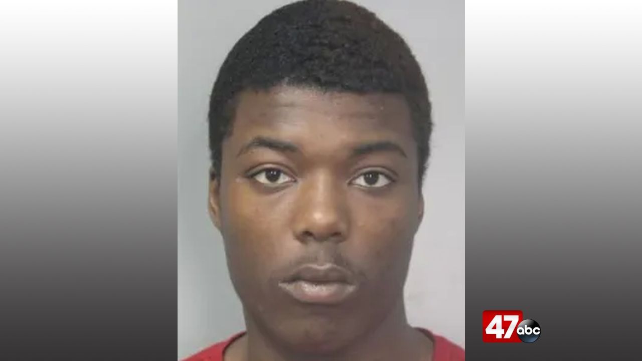 Police: Traffic stop leads to discovery of loaded firearms, drugs - 47abc