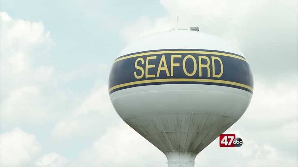 Seaford Updates Fetal Ordinance