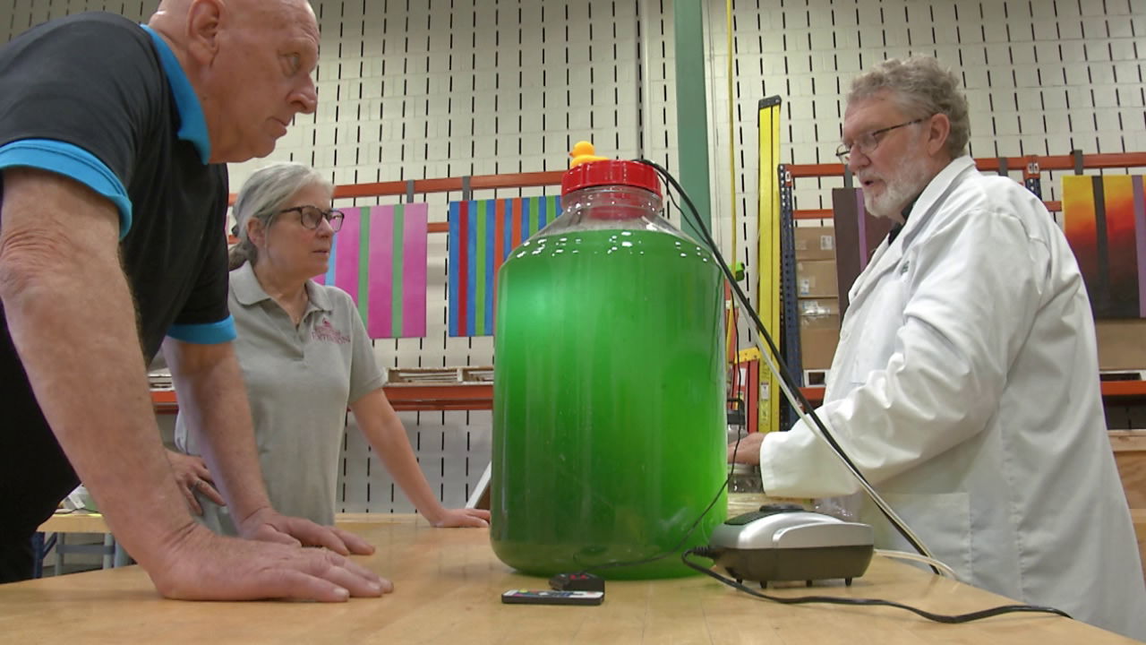 Brightside Spirulina Experiments 47abc