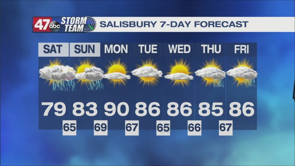 Saturday Forecast: 6 11 22