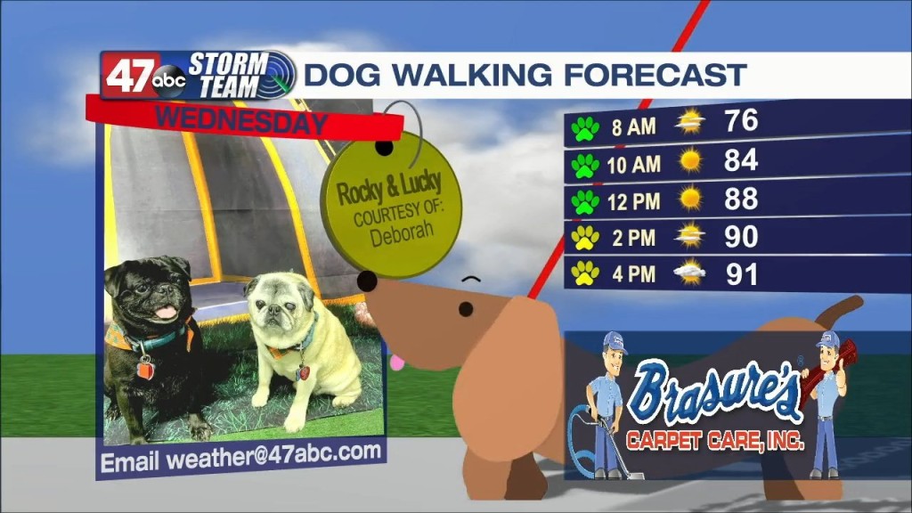 Evening Forecast: 7 12 22