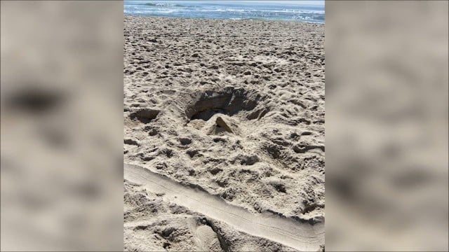 Park rangers speak out after 6 feet+ holes dug on Assateague Island - 47abc