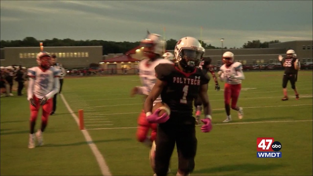 Henlopen Football Preview: Polytech Panther
