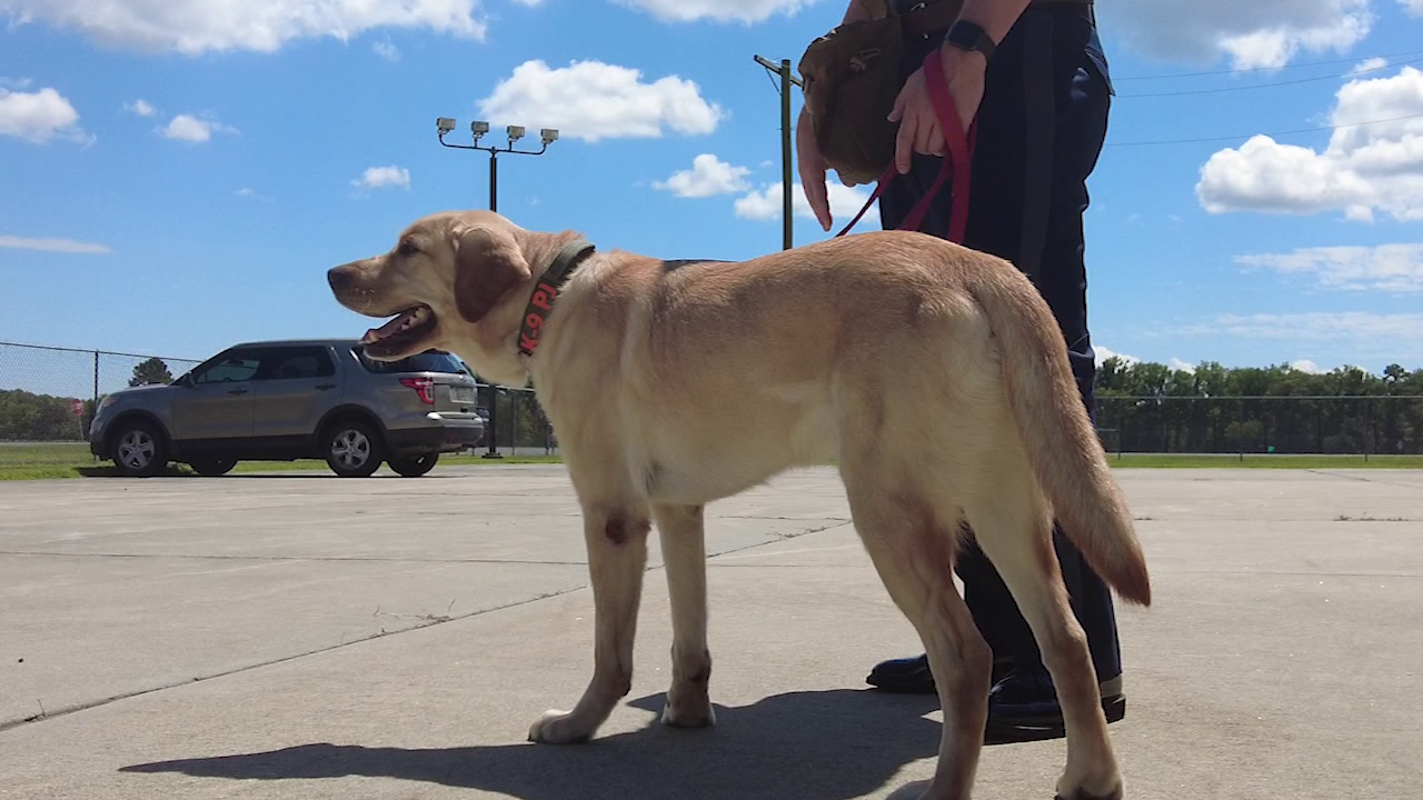 New K-9 Accelerant Detection team taking over in Delaware – 47abc