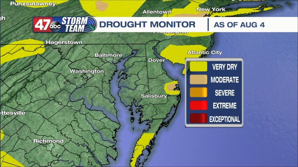 Afternoon Forecast Video 8.4.22