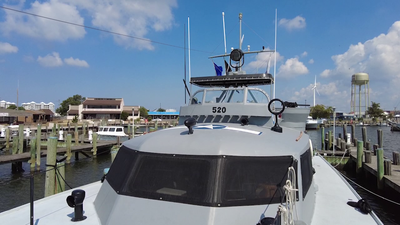 Local nonprofit hosts event honoring Gold Star families, highlights