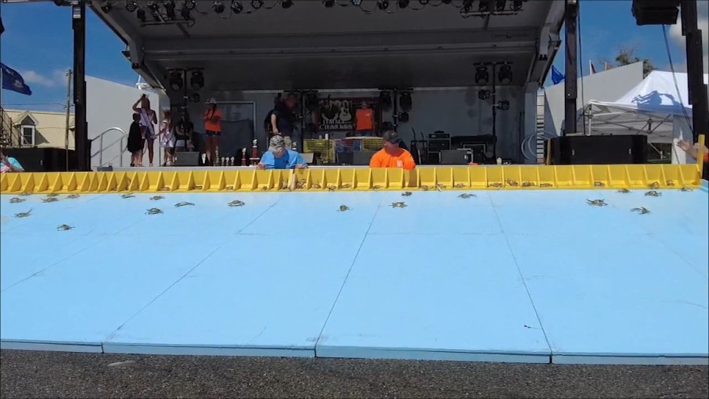 Crab Derby