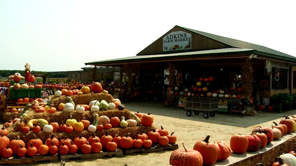 adkins farm market Archives - 47abc