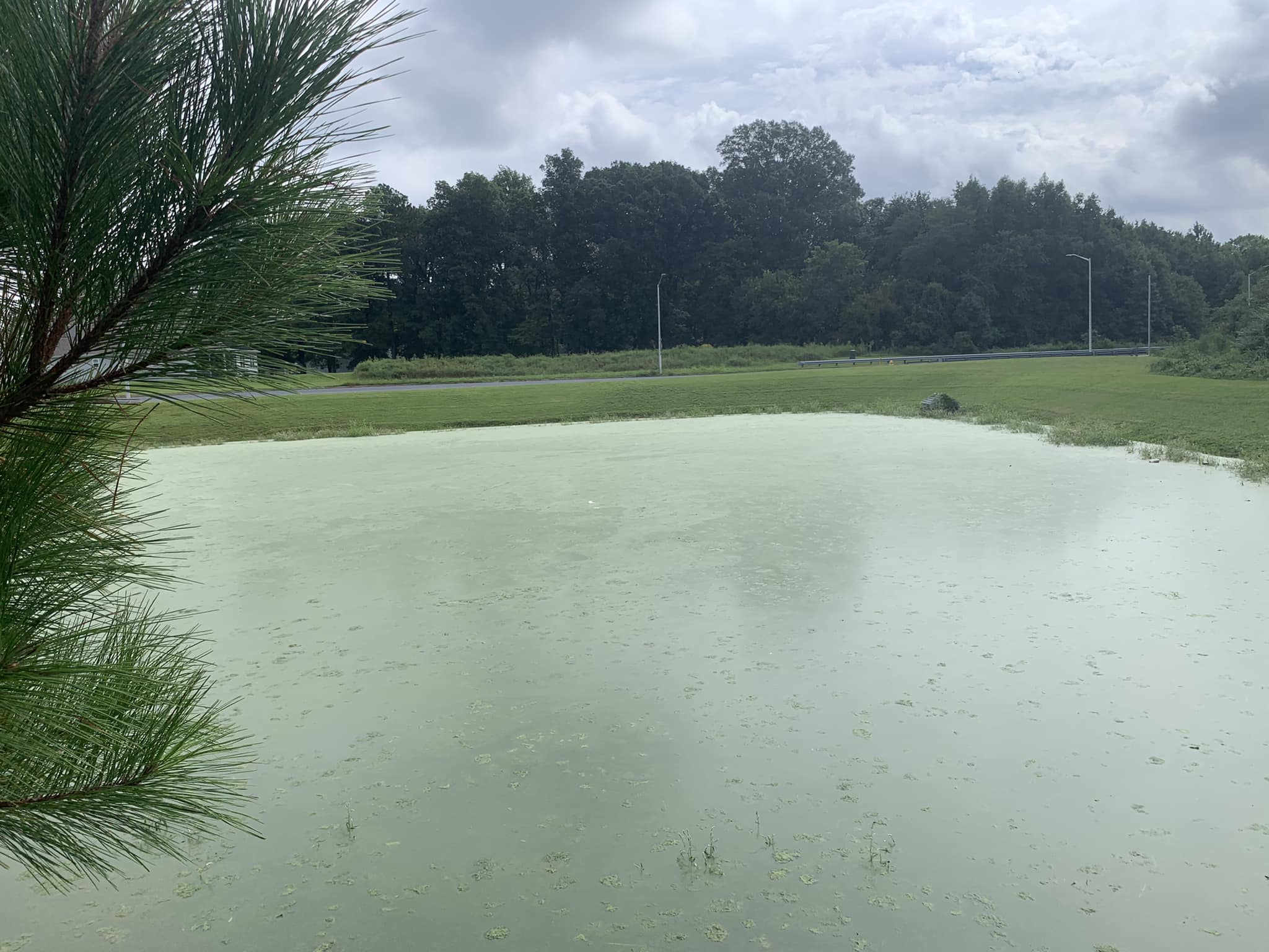 Body Discovered In Drainage Pond Near Coventry Square Apartments In Salisbury 47abc