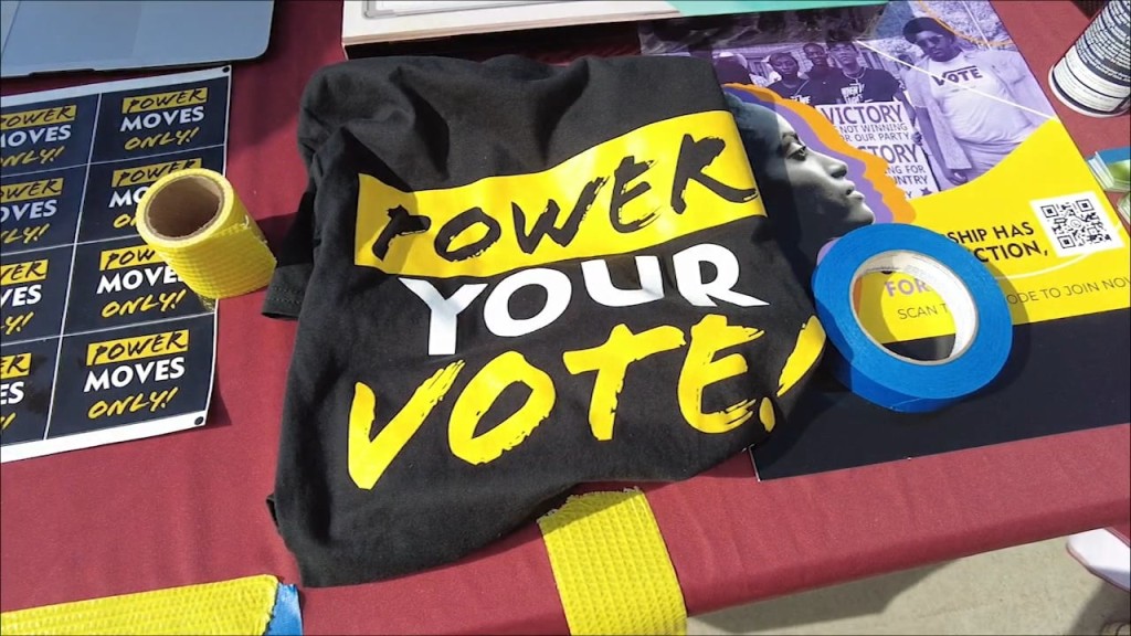 Voting Registration Efforts