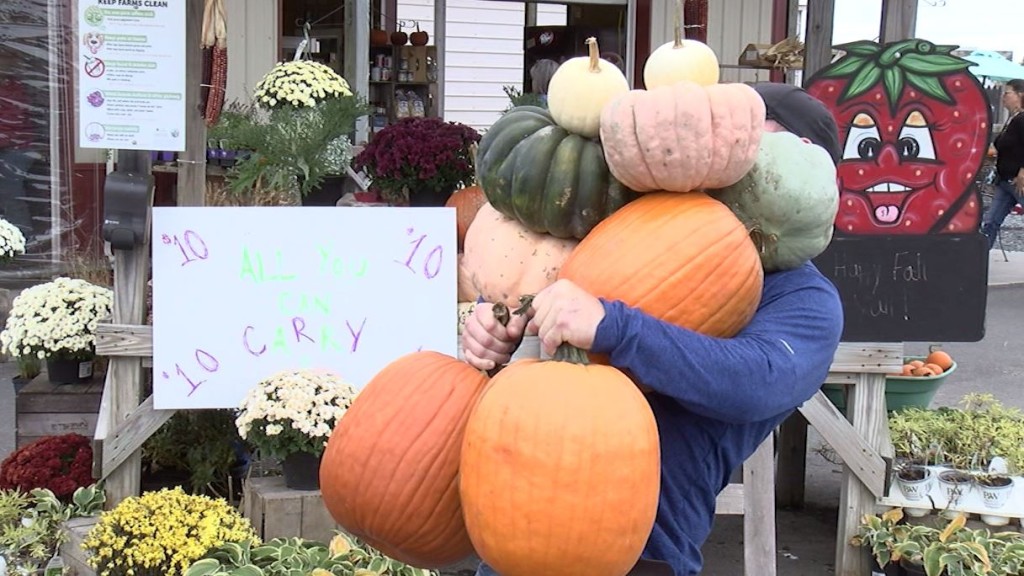 Pumpkin