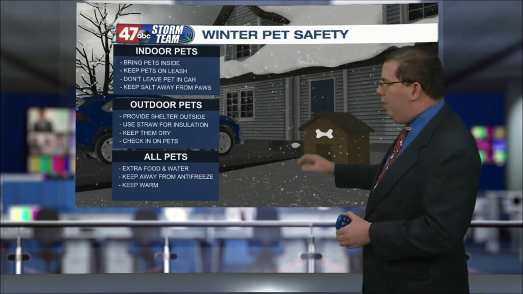 Weather Tidbits: Winter Pet Safety