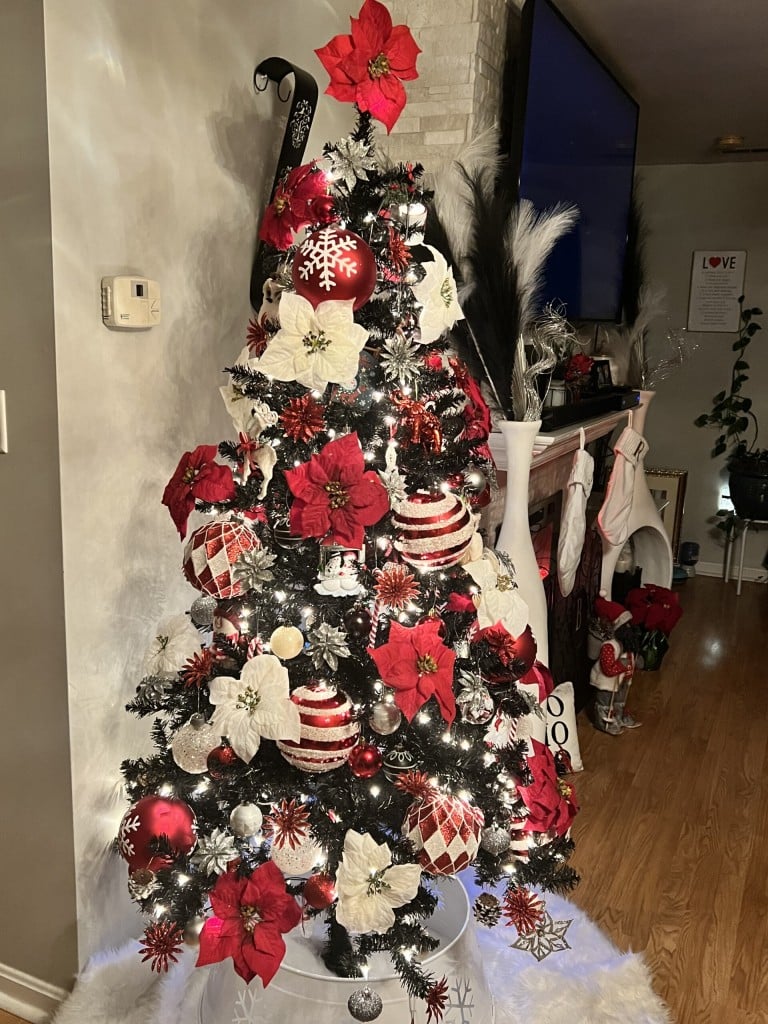 User submitted image