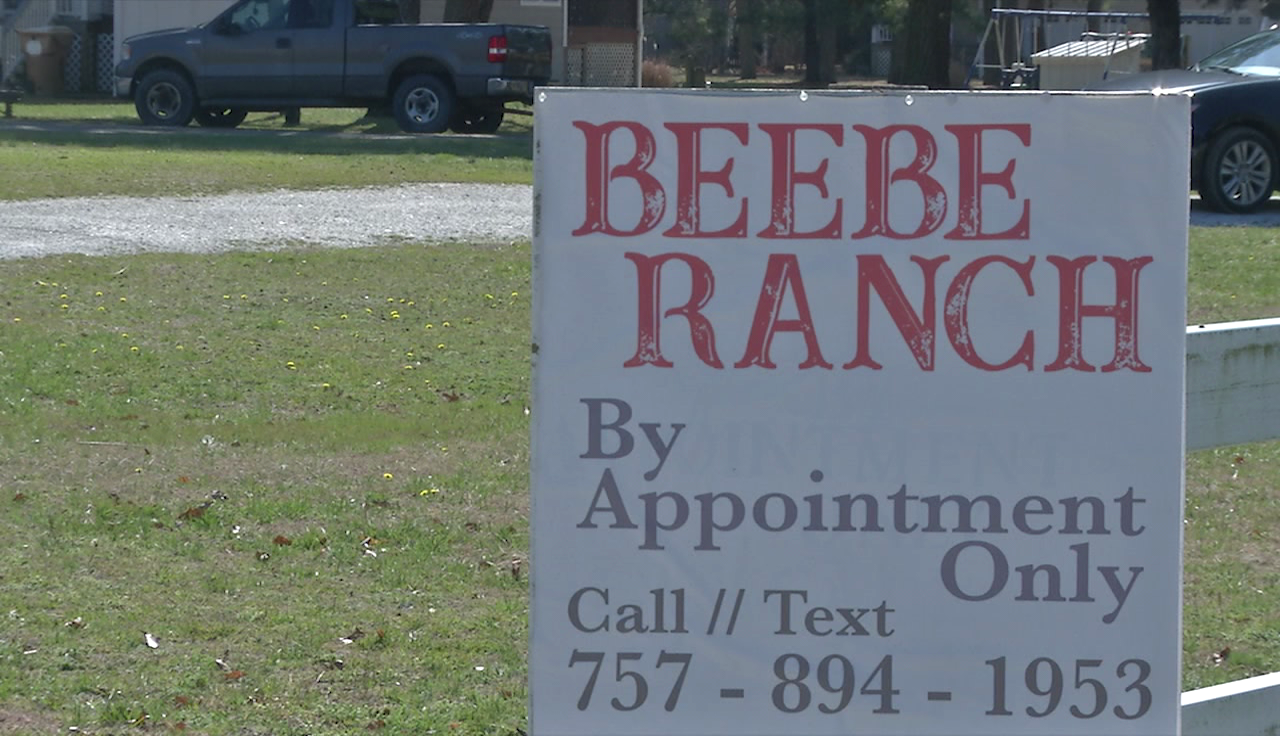 Museum of Chincoteague asks for public's help to save the Beebe Ranch