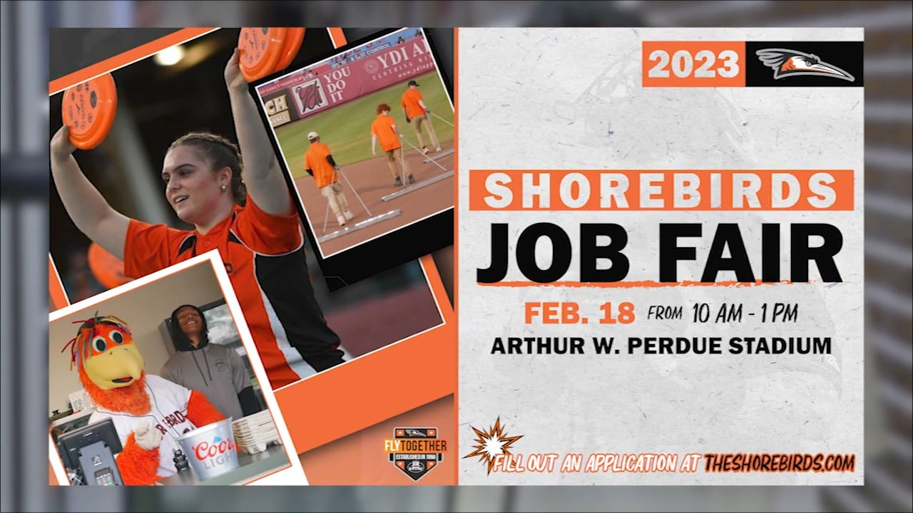 Good Morning Delmarva & Delmarva Shorebirds Job Fair 47abc