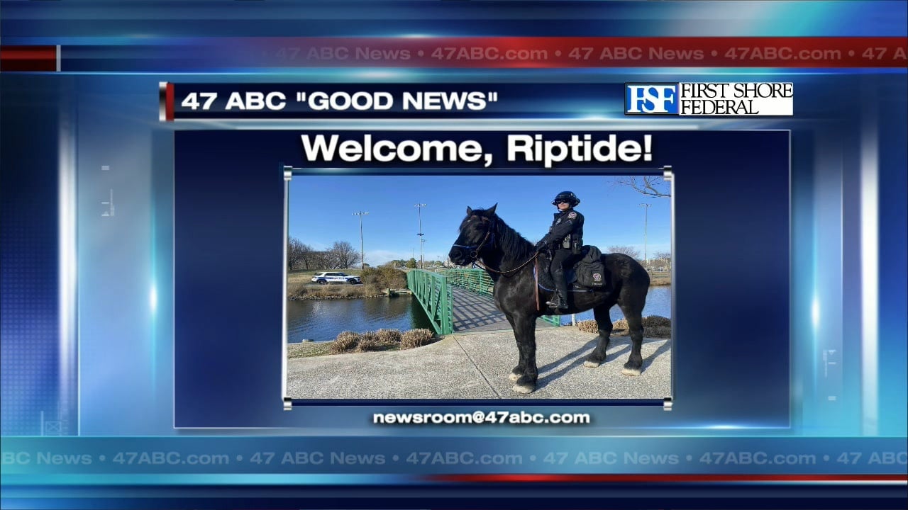 OCPD Welcomes Police Horse Riptide - 47abc