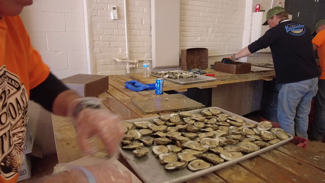 Snow Hill Oyster Roast celebrates a variety of seafood, supports local