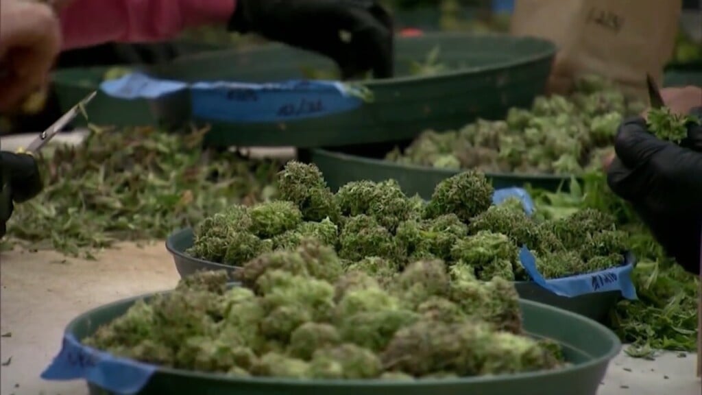 Marijuana Legislation