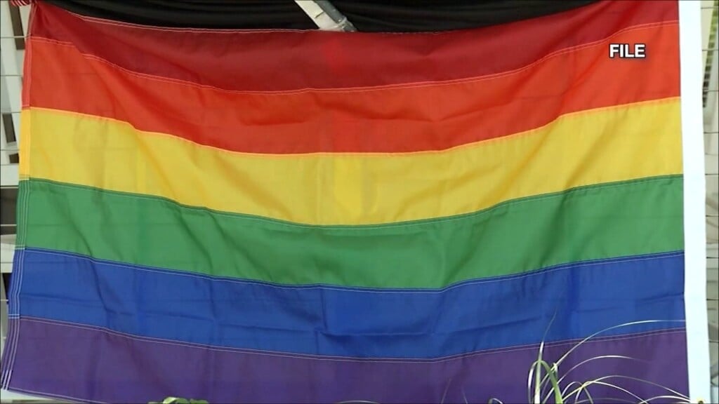Pflag Priorities