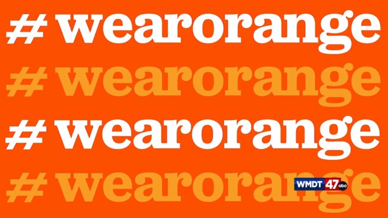 Wear Orange March