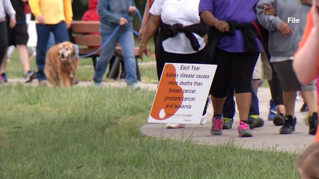 Kidney Walk