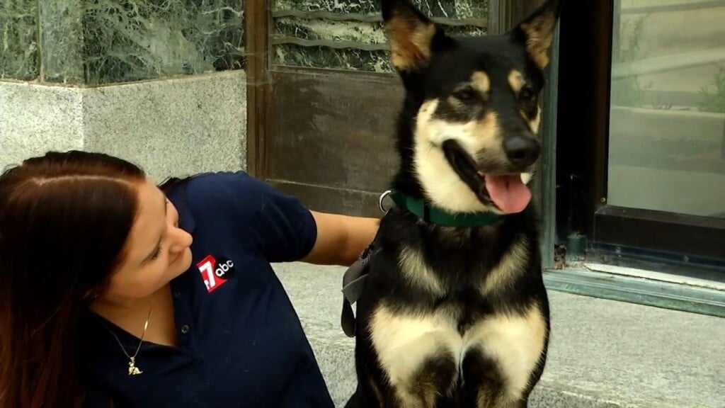 Pets On The Plaza: Meet Darla