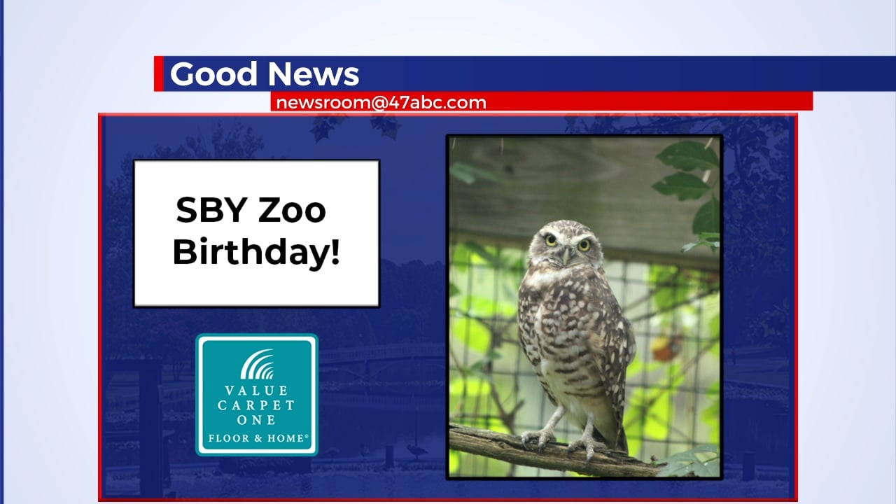 Salisbury Zoo celebrates birthday of burrowing owl 47abc