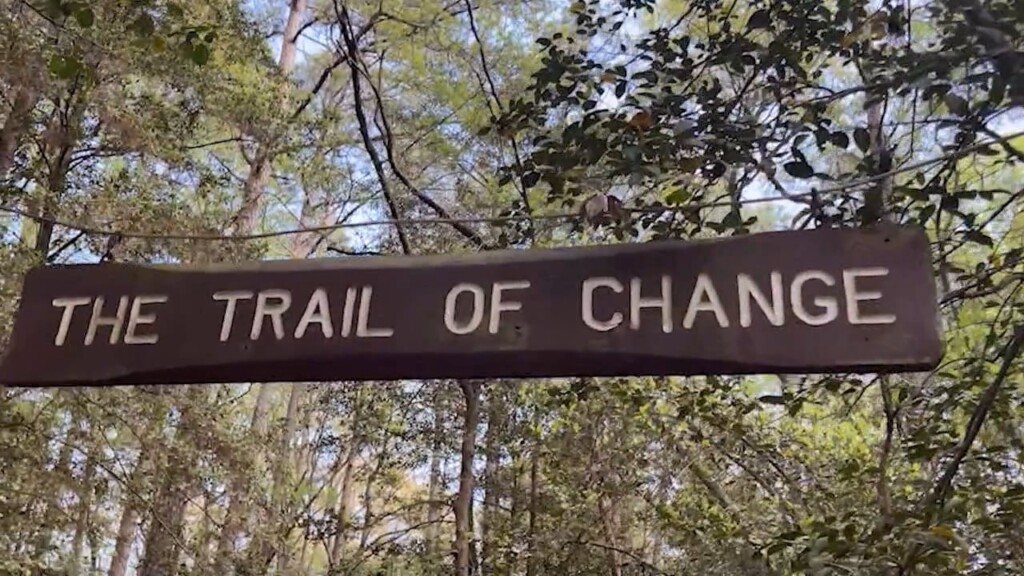 Trail Of Change