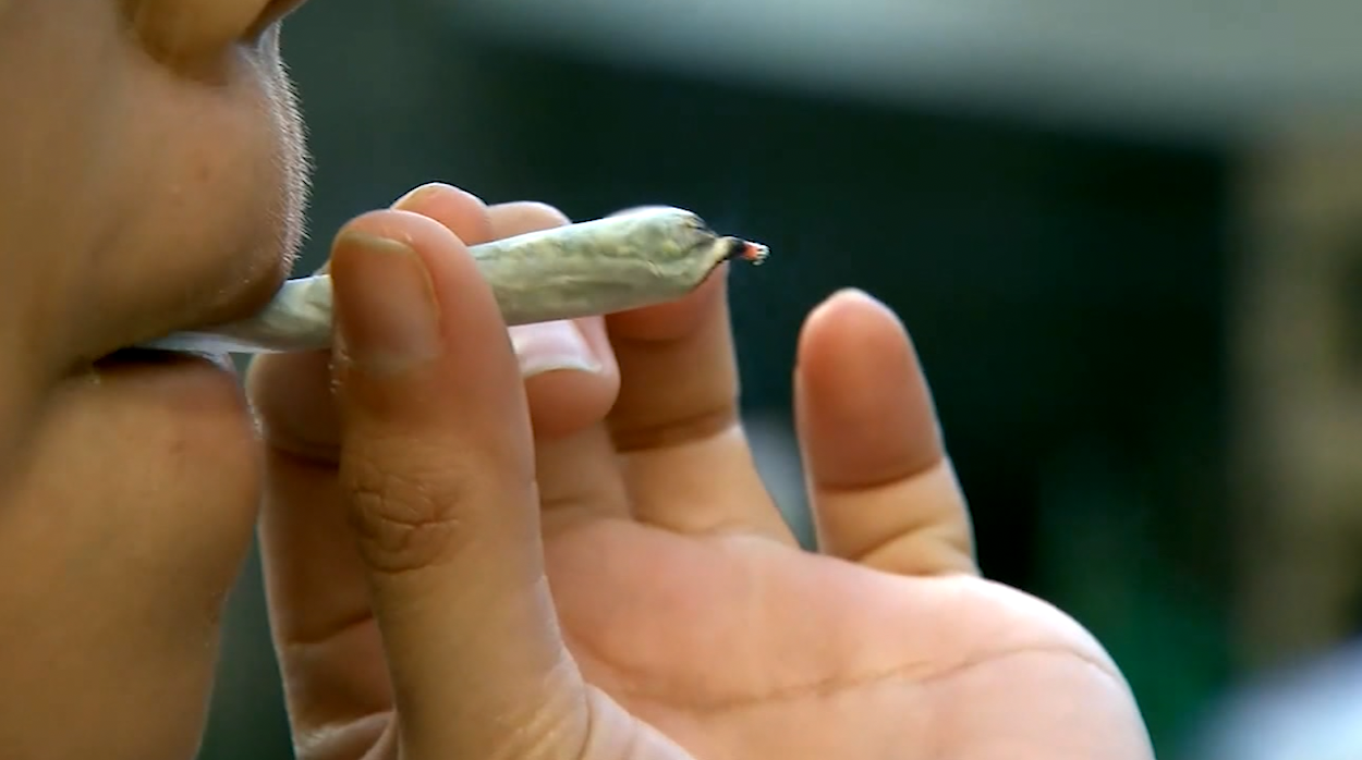 On-site cannabis consumption license ban moves forward in Ocean City - Vimarsana News