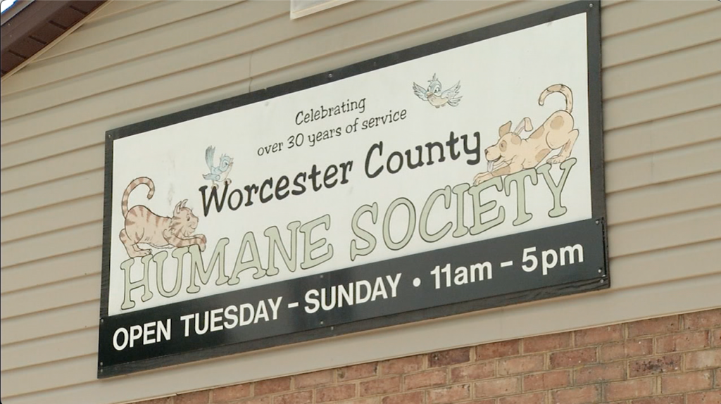 Worcester0516
