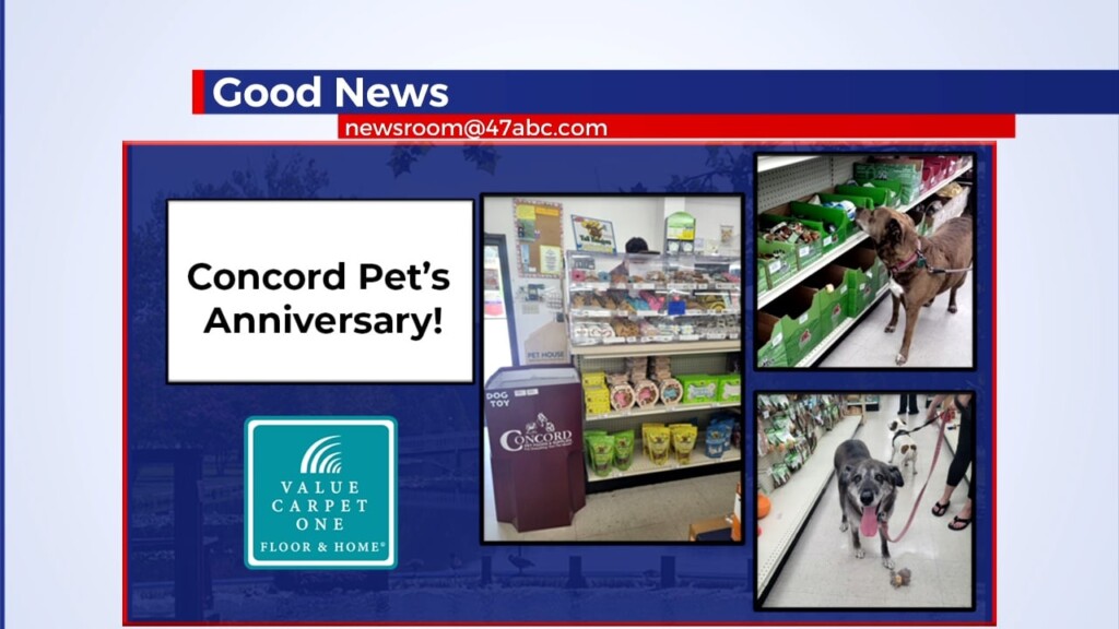 Good News 6pm 6.11.23 Selection