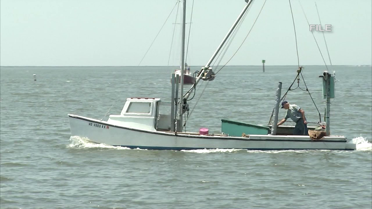 Researchers predict 33% smaller dead zone in Chesapeake Bay this summer ...