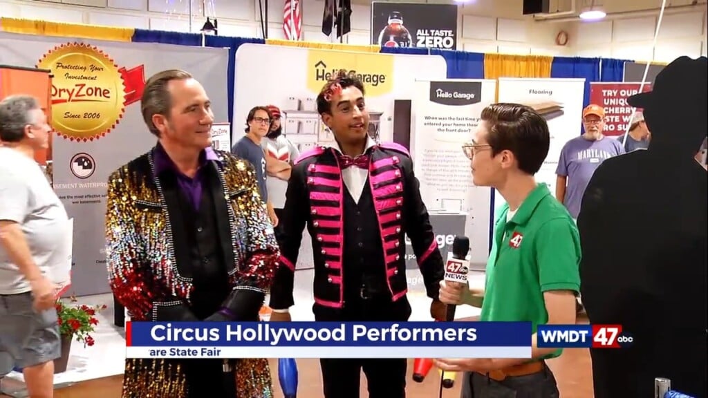 Dsf Circus Hollywood